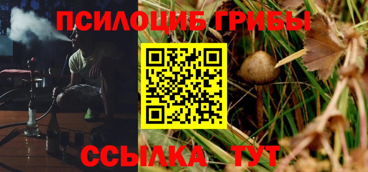 Псилоцибиновые грибы Psilocybine cubensis Вязьма