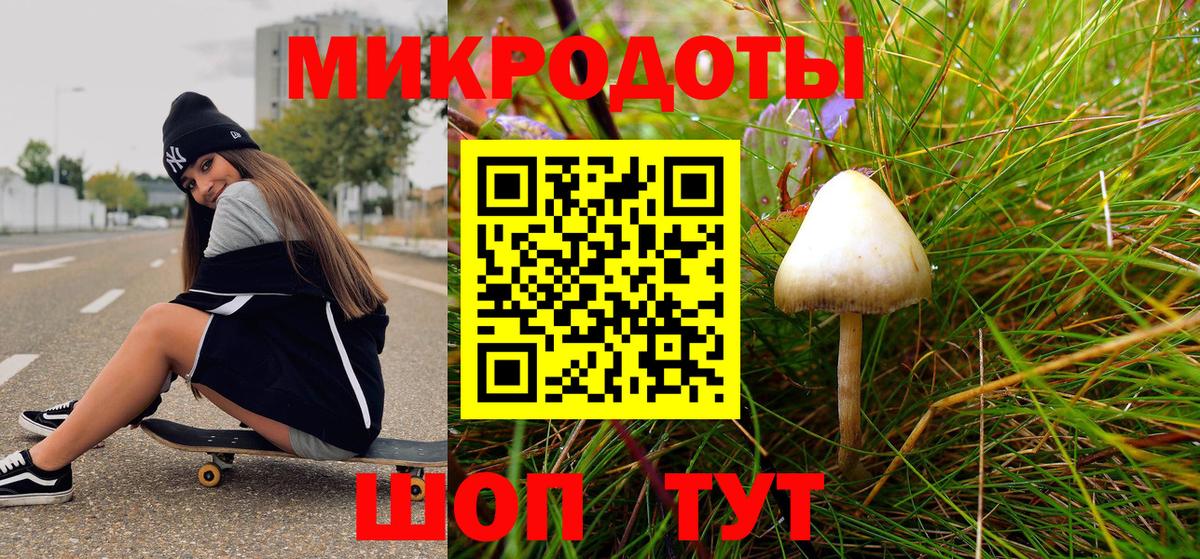 Вязьма  Псилоцибиновые грибы MAGIC MUSHROOMS  Вход с VPN 